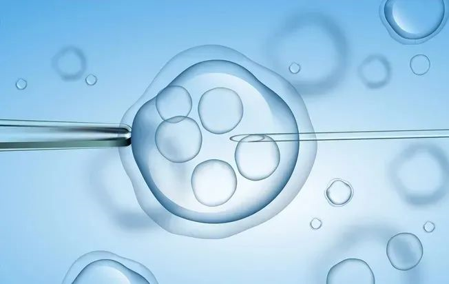 2020生男生女清宫图