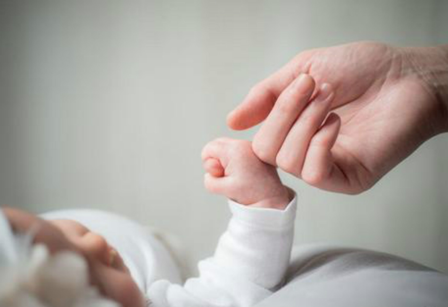 清宫表2012生男生女图