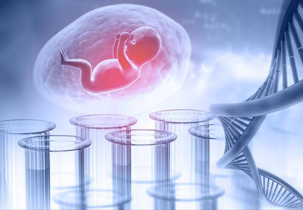 2020生男生女清宫图