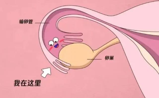 一招三天瘦10斤