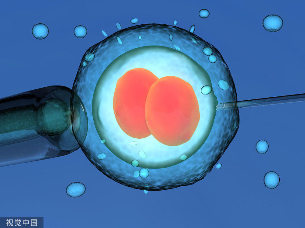 2019生男生女清宫图表最准确版